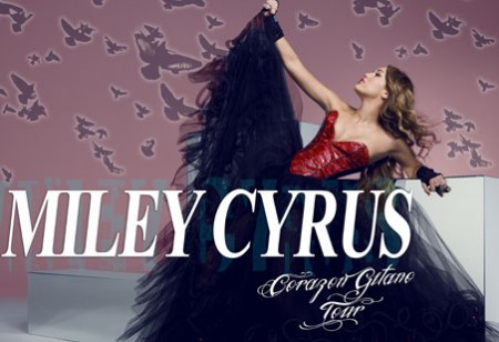 Gypsy Heart Tour - 2011/2012